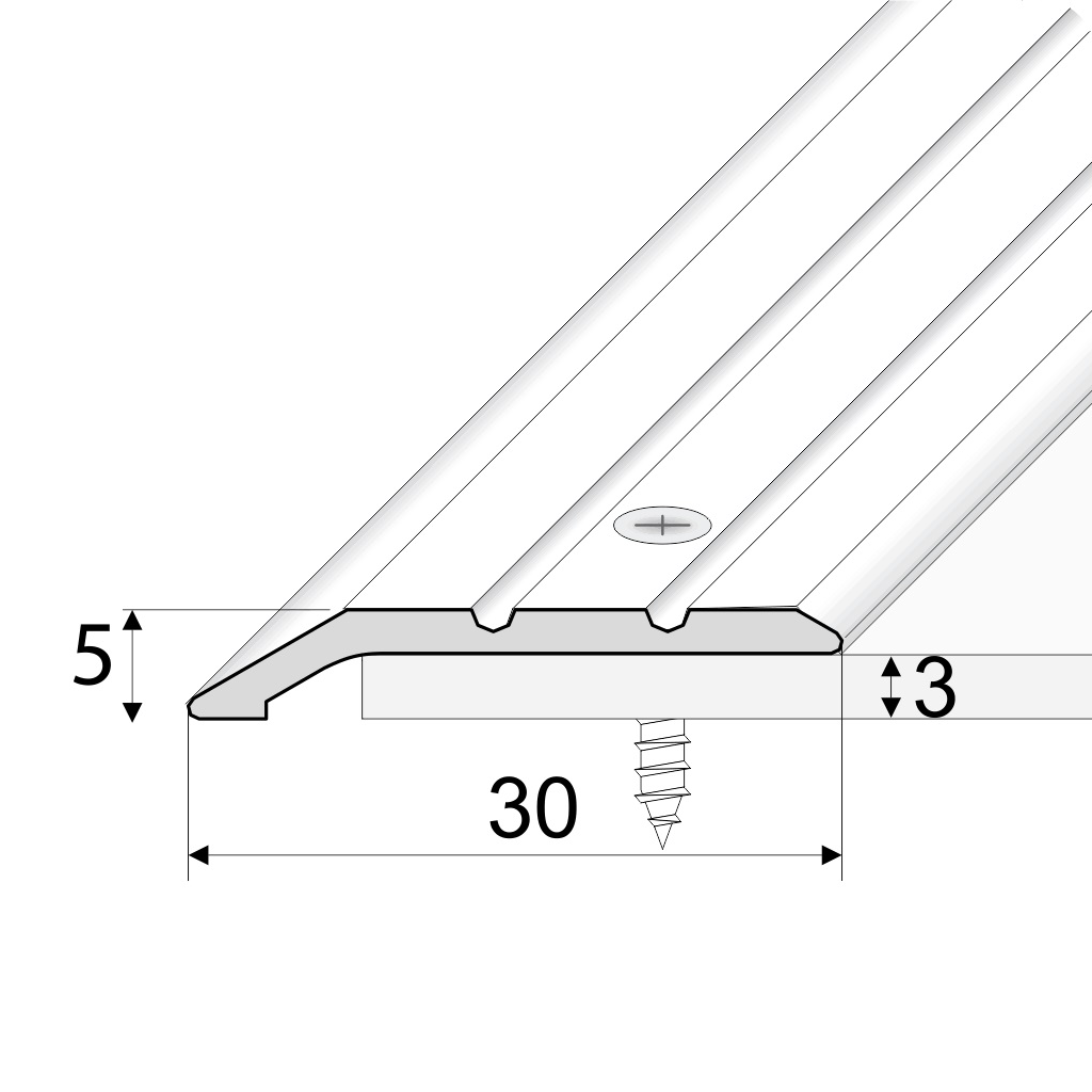 Anodised aluminium A01 ramped door threshold fitted between rooms